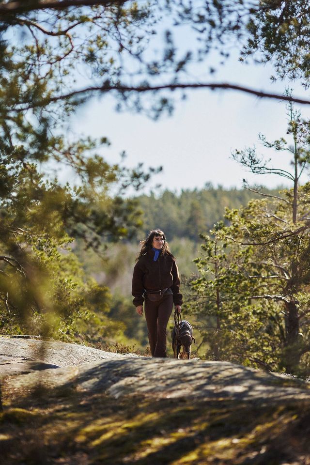 Der Hundebesitzer nimmt mit seinem Hund am Agria Dog Walk im Wald teil.