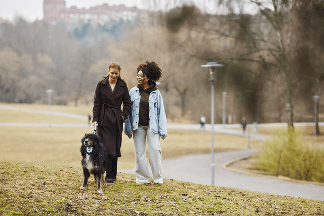 Zwei Personen gehen mit ihrem Hund an der Leine im Park spazieren.