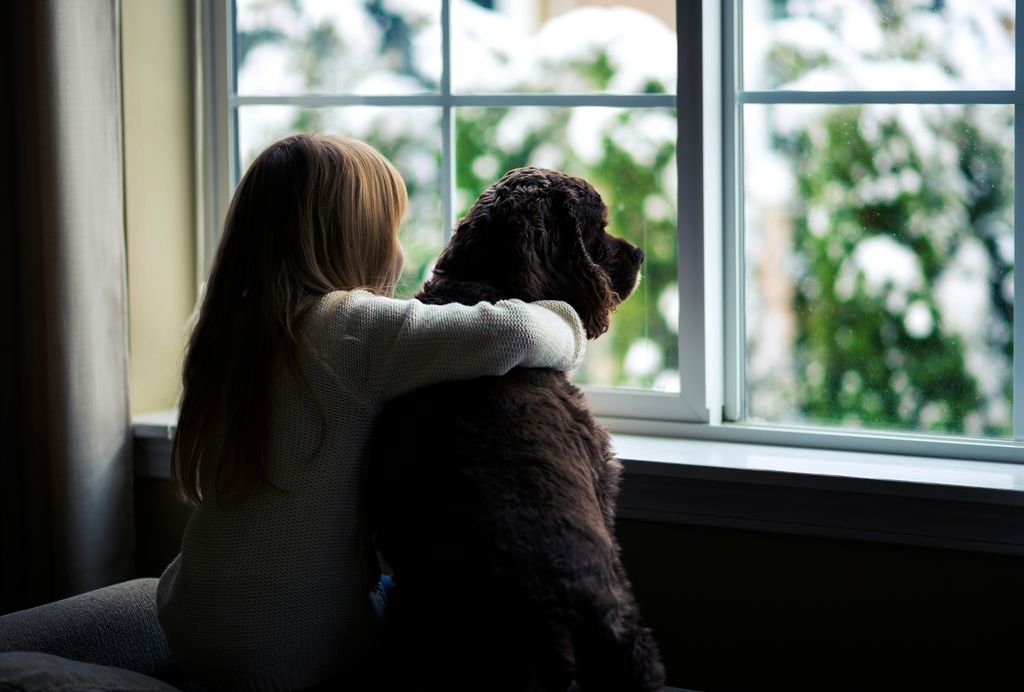 Hund schnüffelt an Katze