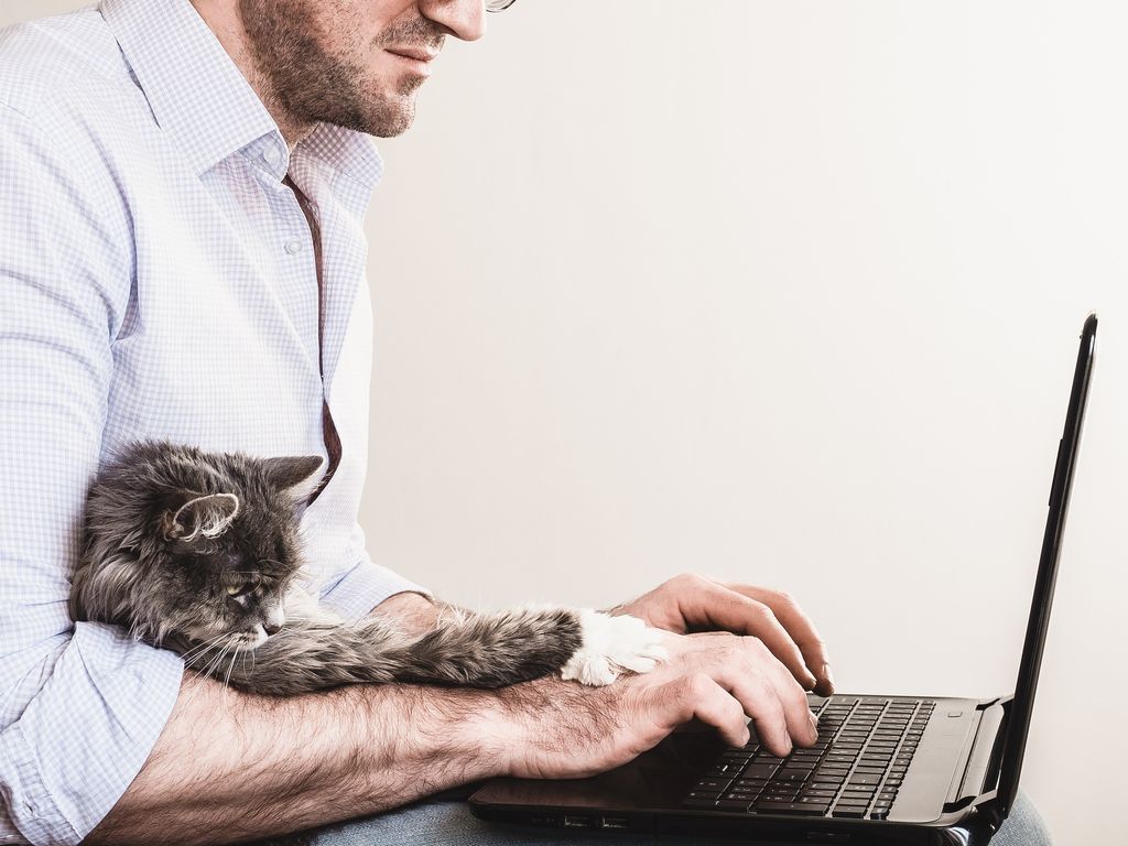 Mann arbeitet am Laptop mit Katze im Arm