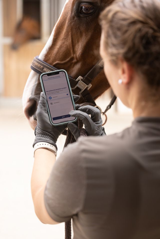 Videoanruf Online-Tierarzt via App