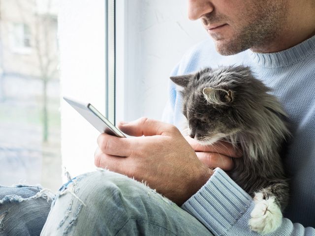 Man sitzt mit dem Handy und der Katze auf dem Schoß