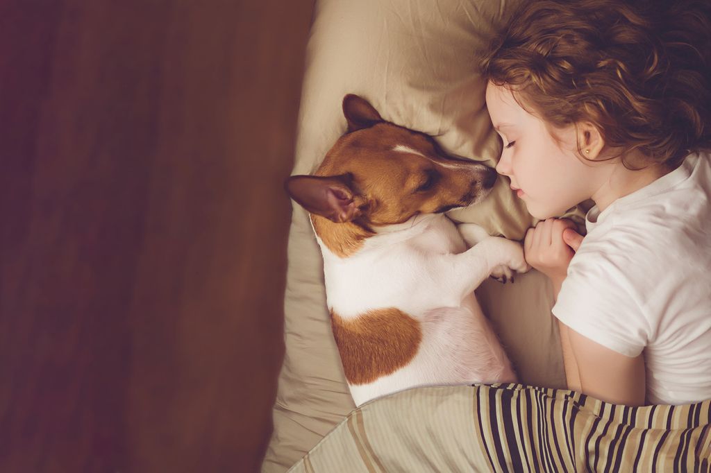 Kind und Hund liegen gemeinsam gemütlich im Bett.