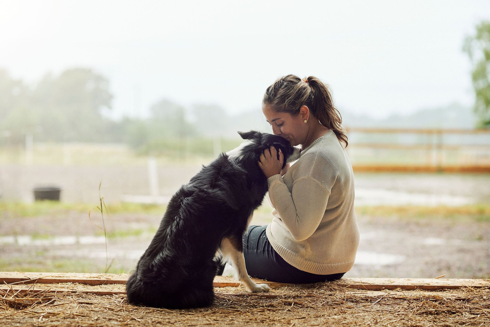 Frau küsst ihren Border Collie auf den Kopf