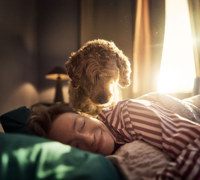 Der Hund schaut auf seine Besitzerin herab, die es sich im Bett gemütlich macht.