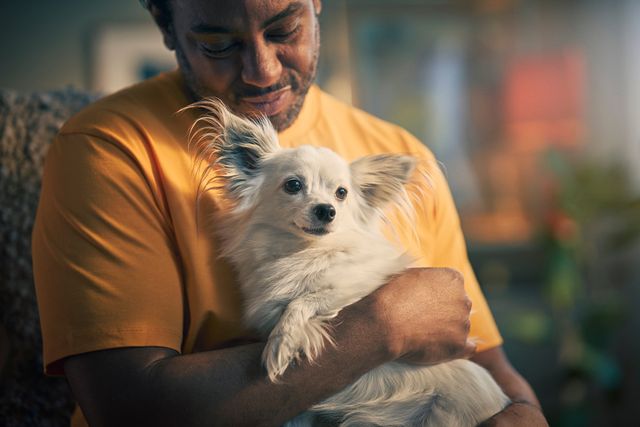 Mann hält Hund auf dem Arm.
