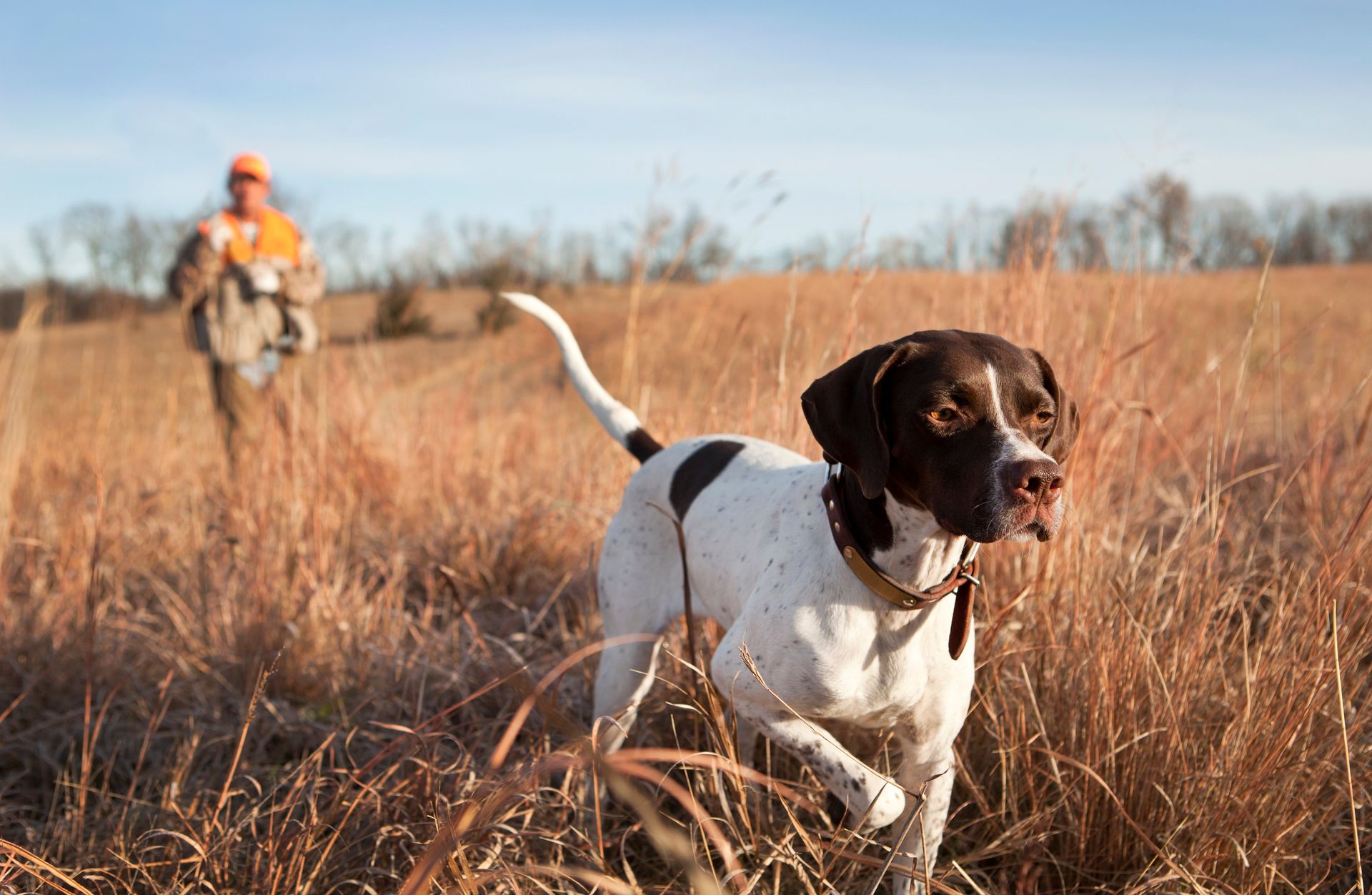 Pointer im Feld