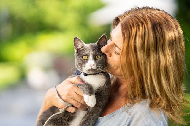 Die Katze wird von ihrer Besitzerin geknuddelt und gestreichelt.