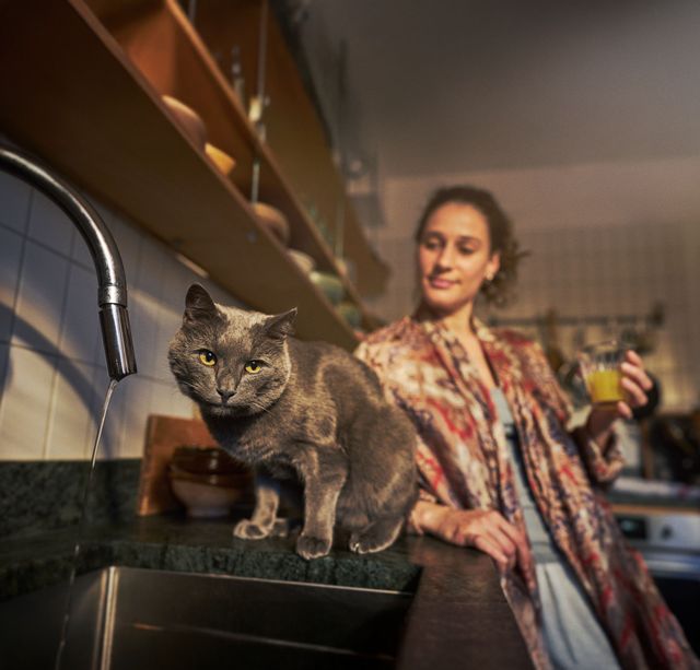 Frau mit ihrer grauen Katze in der Küche