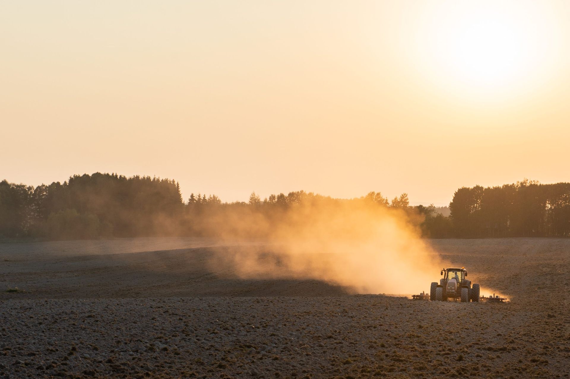 Traktor im Sonnenaufgang