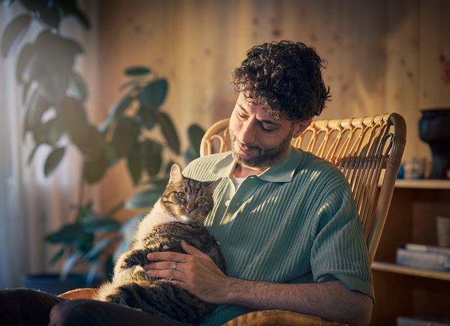 Katze und Mann