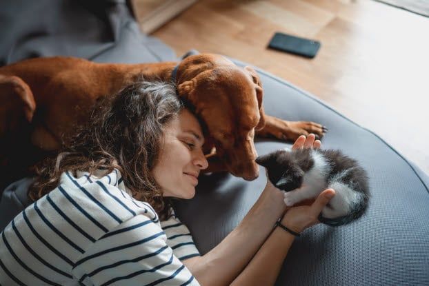 Frau kuschelt mit Vizla und Katze