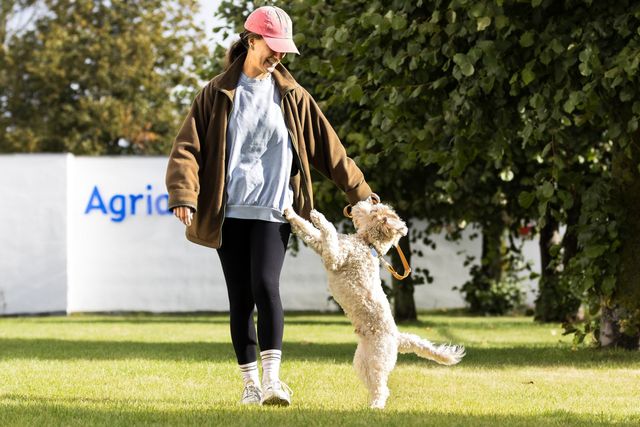 Hund, der beim Spaziergang auf seine Besitzerin zuspringt