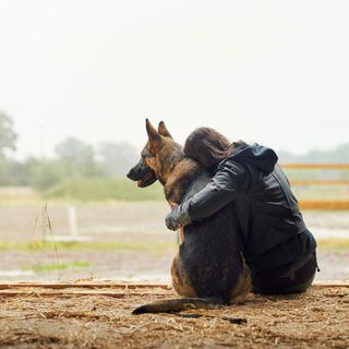 Der Schäferhund wird von seiner Besitzerin geknuddelt.