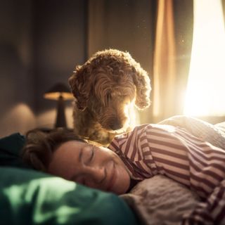Hund tittar ner på sin matte som ligger och vilar i sängen.