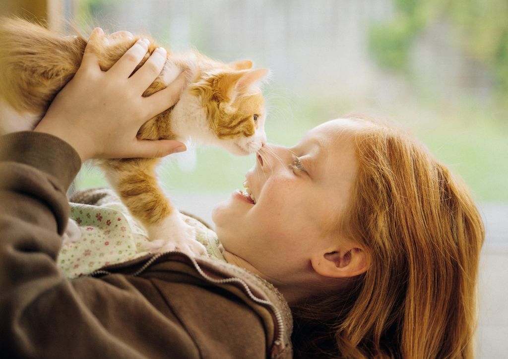 Mädchen spielt mit Kitten.