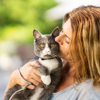 Frau küsst Katze, die auf Ihrem Arm
