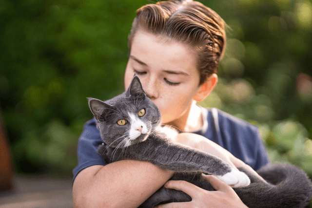 Mädchen hält Katze im Arm und küsst sie.
