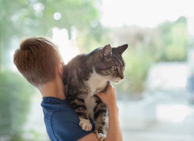 Hund trägt seine Katze auf dem Arm.