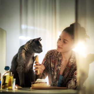 Katze sind neben Frau und wird von ihr gestreichelt