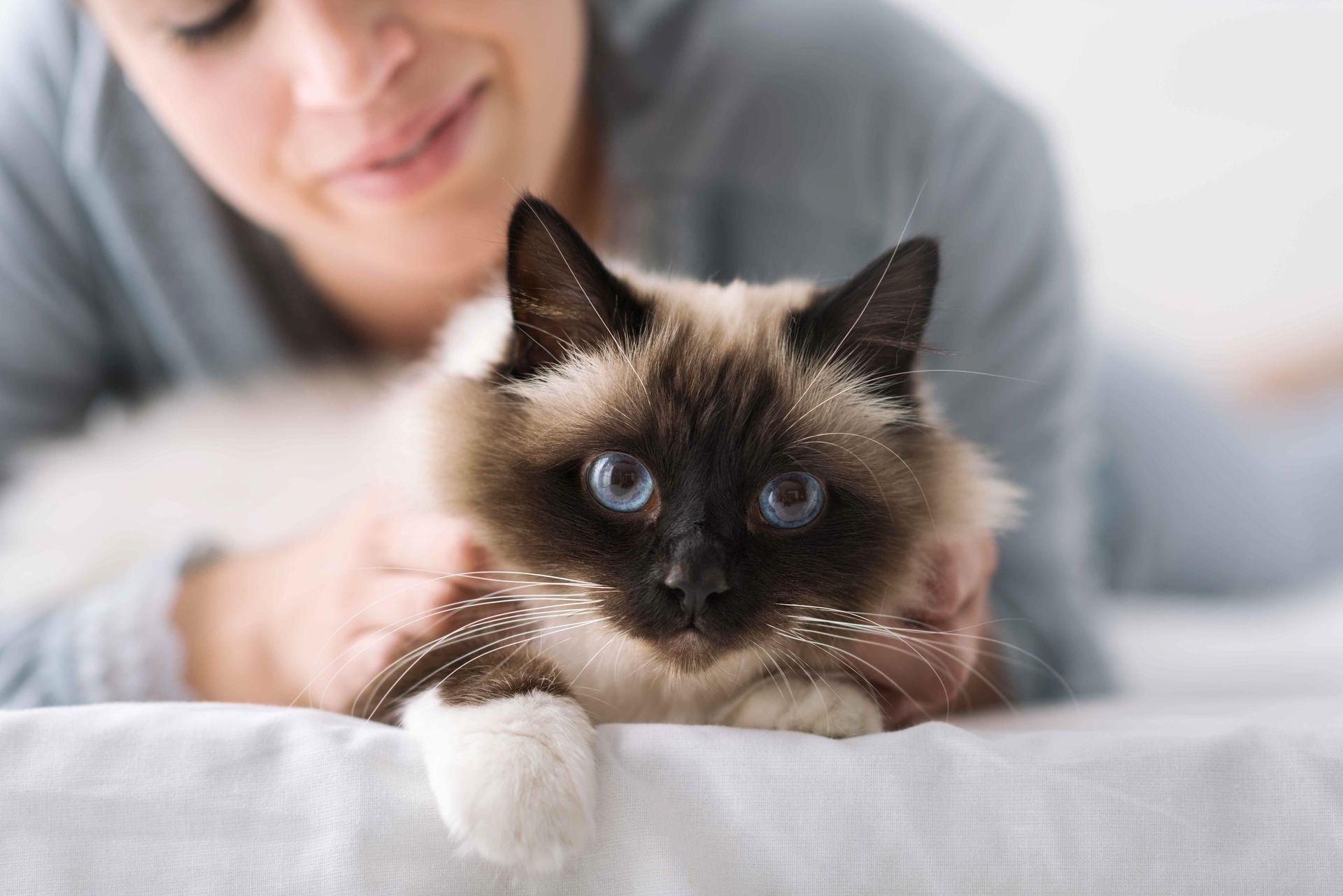 Frau hält Katze in ihren Armen