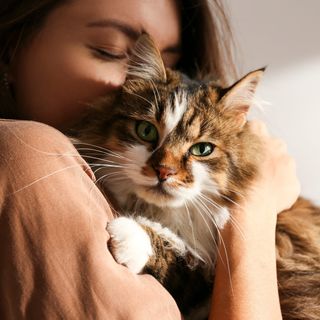 Frau umarmt Katze