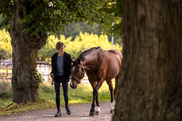 Junge führt sein Pferd an der Hand im Freien.