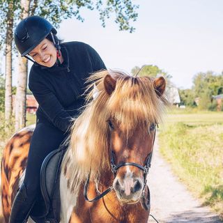 Pferd wird über Weg geführt.