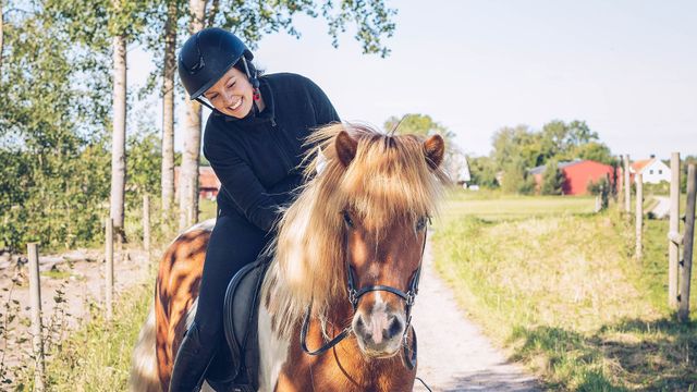 Frau reitet und streichelt ihr Islandpferd.