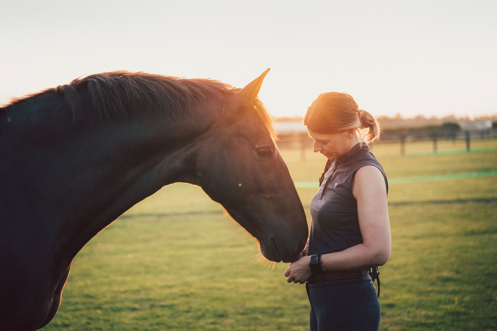 Frau mit Pferd im Sonnenuntergang