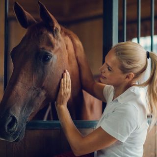 Frau streichelt Pferd am Kopf