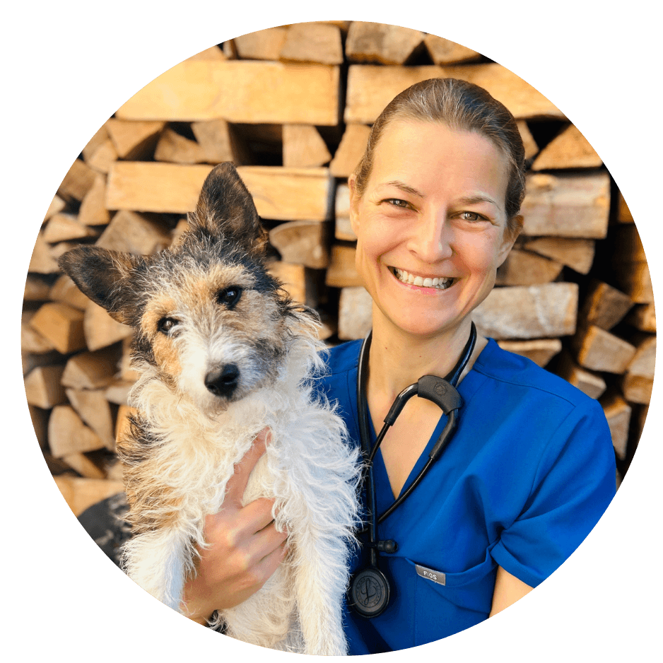 Dr. med. vet. Romina Pankow