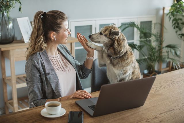 Hund gibt Frau am Computer High Five