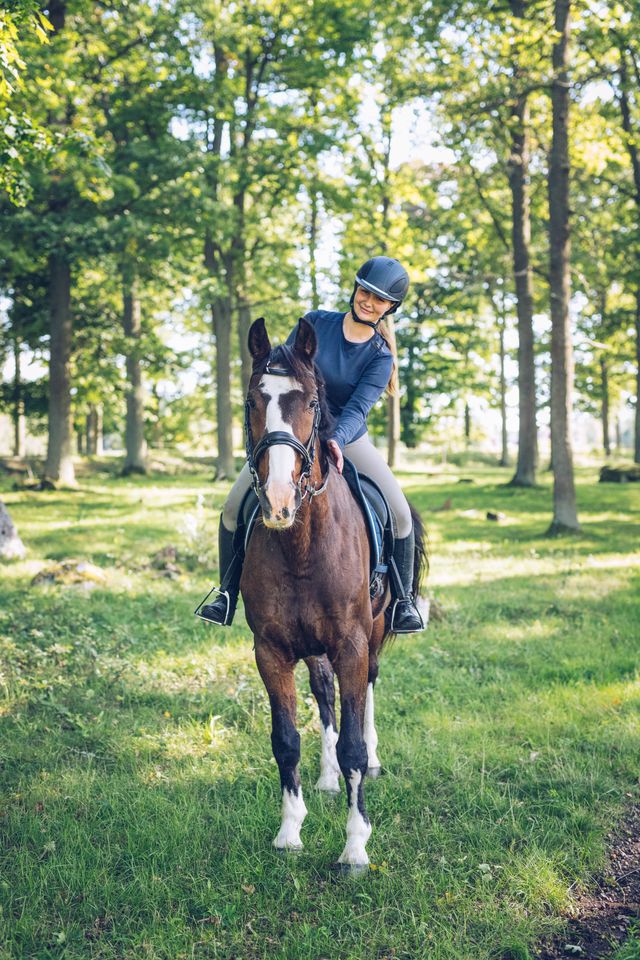 Reiter streichelt sein Pferd nach der Teilnahme am Agria Ride.