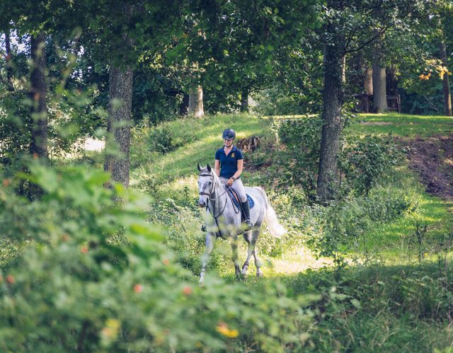 Reiter und Pferd sind draußen und reiten den Agria-Ritt.