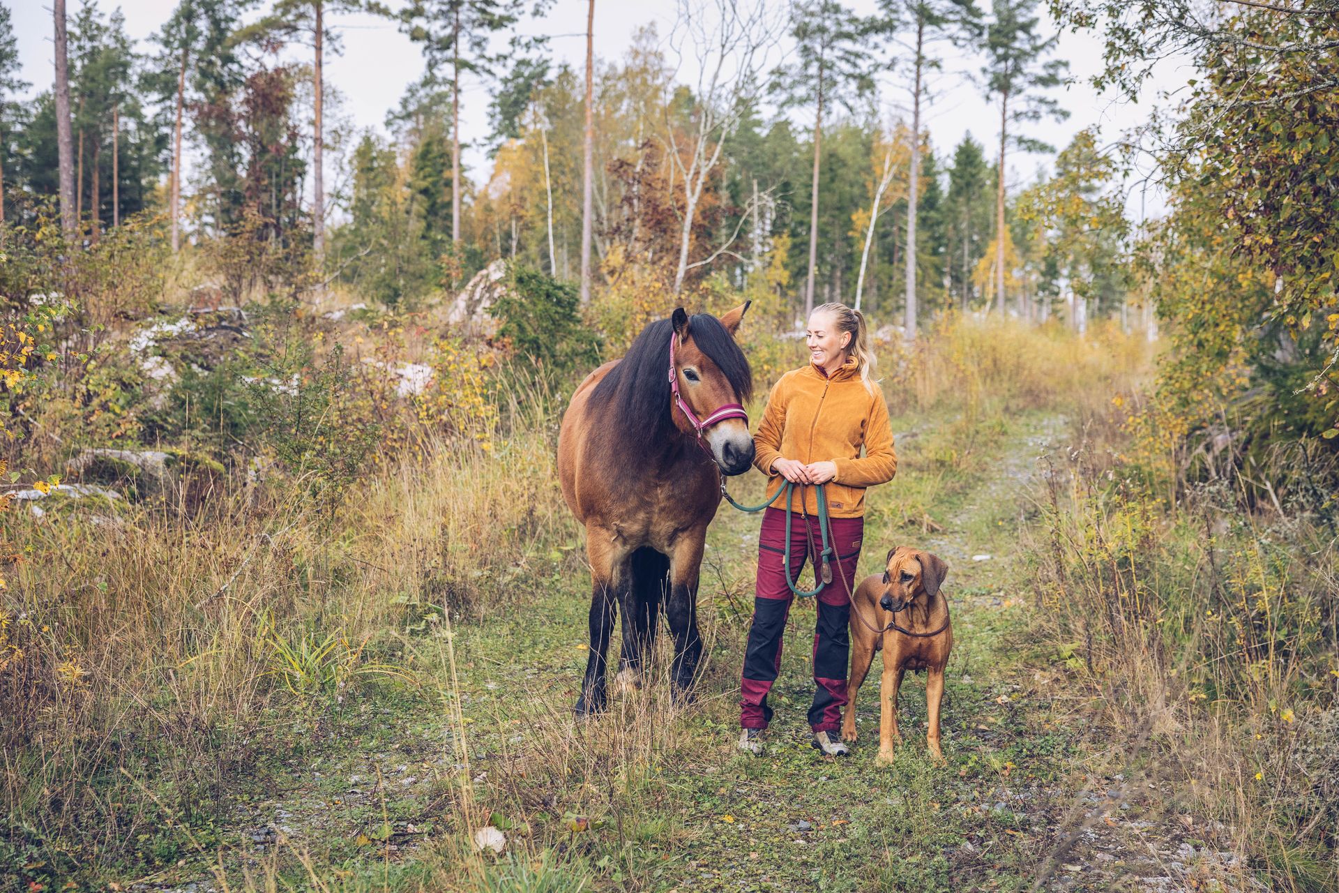 Pferd und Hund mit Frau draußen im Wald