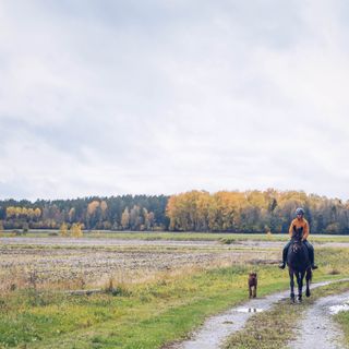 Erklärung zu Selbstbeteiligung und Erstattungssatz