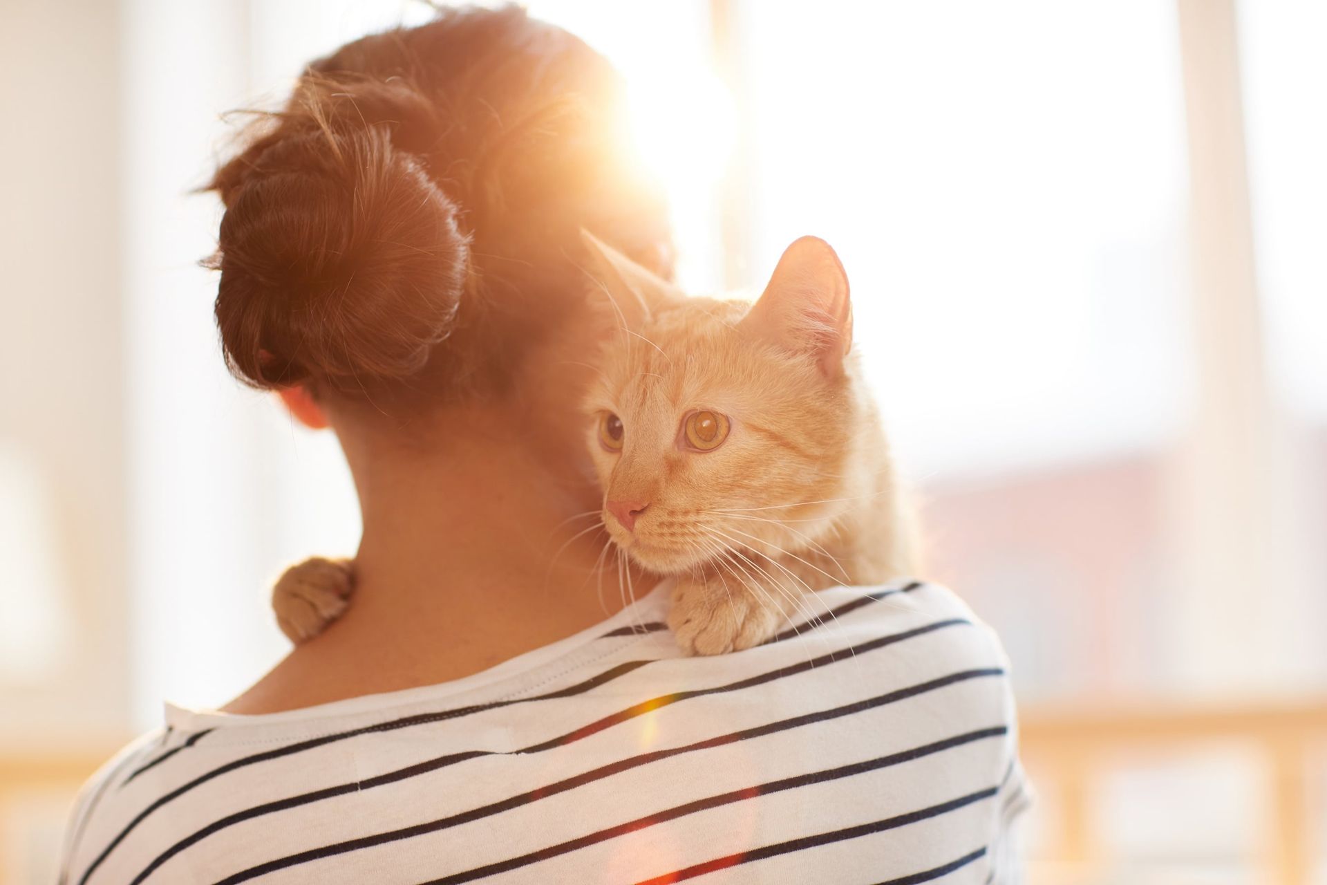 Frau hält Katze auf dem Arm.