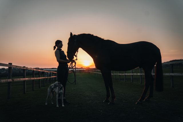Frau steht mit ihrem Pferd im Sonnenuntergang auf der Weide.
