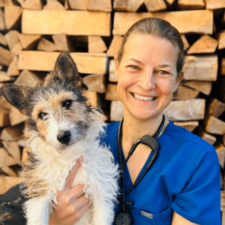 Dr. vet. med. Romina Pankow