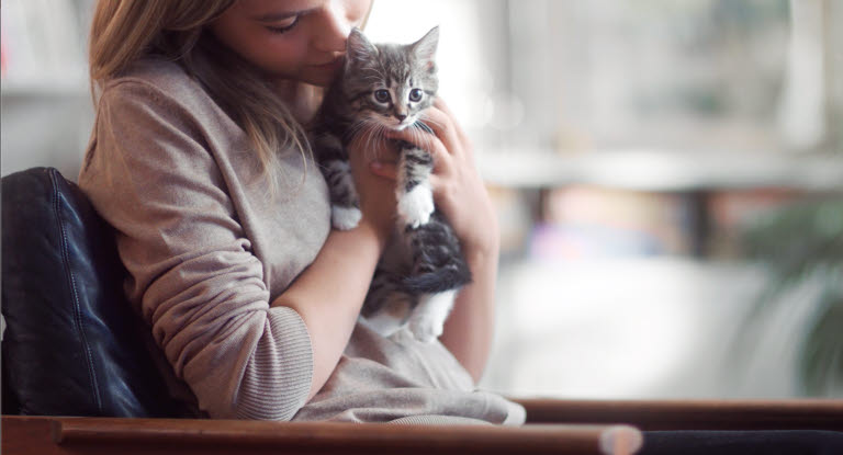 Katzenbaby auf dem Arm einer Frau