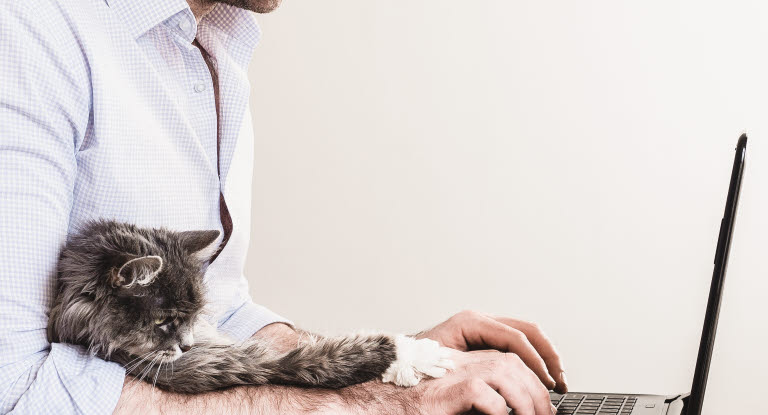 Mann arbeitet am Laptop mit Katze im Arm