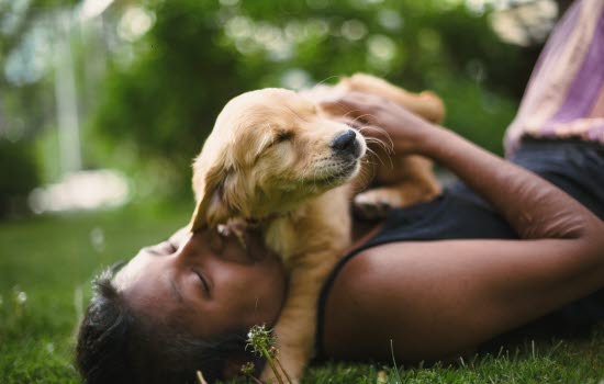 Frau kuschelt mit einem Welpen im Gras.
