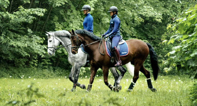 Die Pferd-Mensch-Beziehung profitiert von entspannten Ausritten