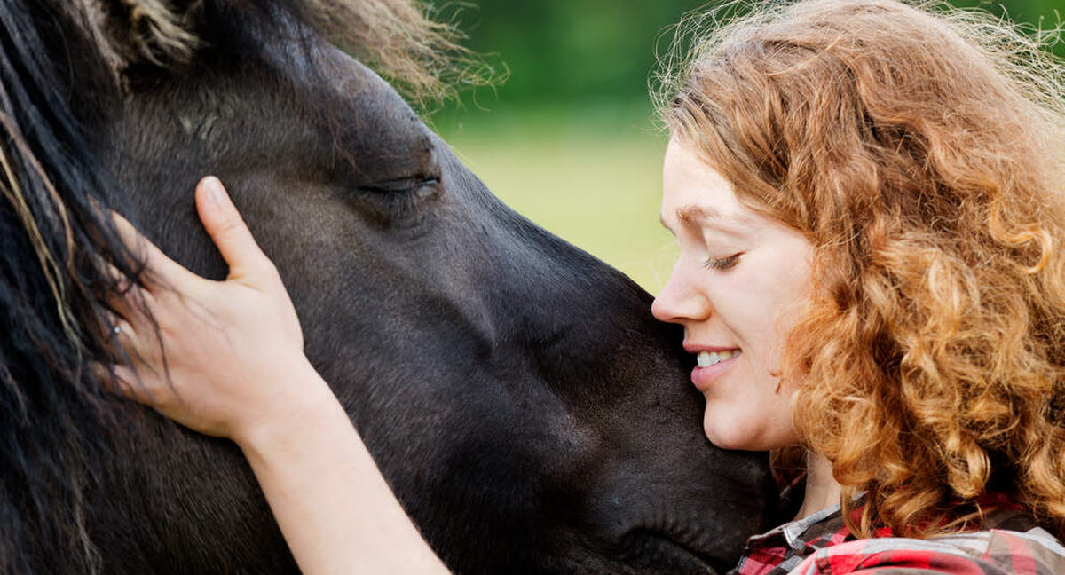 Pferd zur Verfügung Tipps, Verträge und Versicherung Agria Tierversicherung