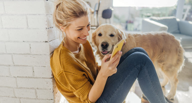 Welche Ausbildung ist erforderlich, um mit dem Hund als Hundeteam zu arbeiten?