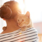 Katze mit FeLV auf dem Arm ihrer Besitzerin